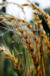 If You Keep My Commandments - smaller